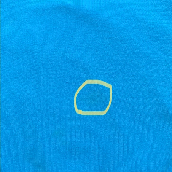 Polo by Ralph Lauren Woman’s size XL.  V-Neck lightweight sweater.  Gently Worn - Picture 6 of 14